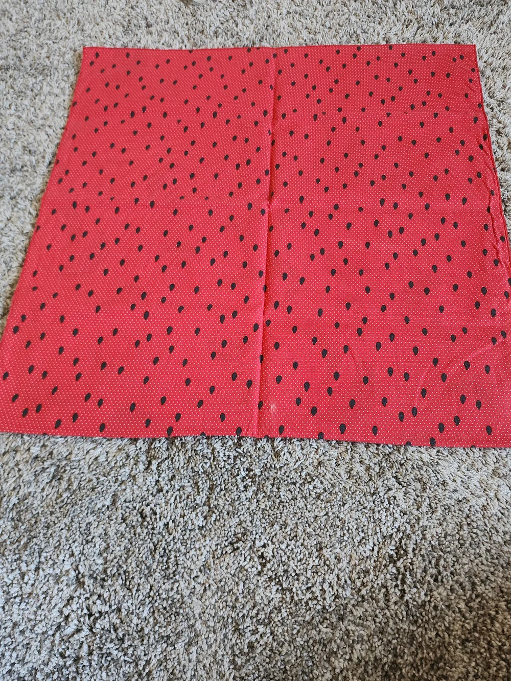 Watermelon Cloth Napkins Set of 4 Reversible Summer 20x20